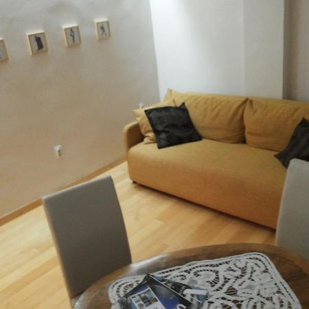 Downtown Dell Arte Apartment Novi Sad Bagian luar foto