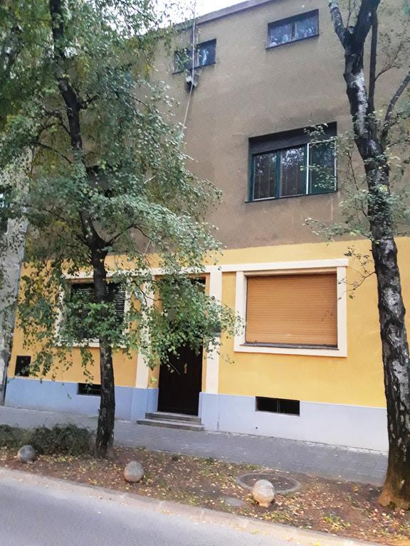 Downtown Dell Arte Apartment Novi Sad Bagian luar foto